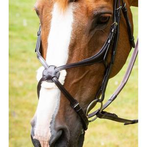 8100pbrw-naso-incrociato-premier-equine-glorioso-mexican-marrone