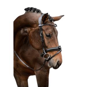 1210-020-996-briglia-da-equitazione-ps-of-sweden-gp-black-lacquer