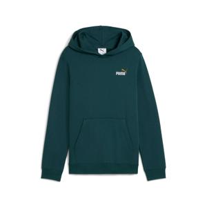 685825-75-felpa-con-cappuccio-per-bambini-puma-essentials-2-green-terrain