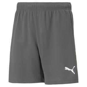 704943-13-pantaloncini-per-bambini-puma-team-rise-grigio-bianco