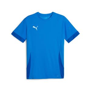 705747-02-jersey-puma-teamgoal-matchday-blu