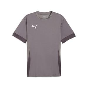 705747-13-jersey-puma-teamgoal-matchday-grigio