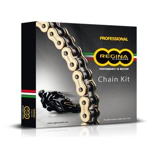 ka037-kit-catena-regina-aprilia-1000-rsv4-raprc-11-tuono-v4r-1000-11-argento-tu