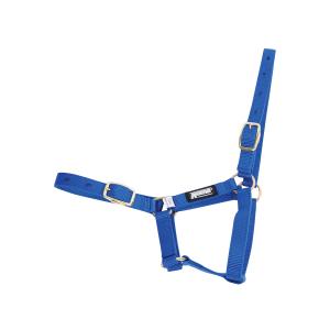 463450-cavezza-per-puledro-roma-foal-blu-puledro