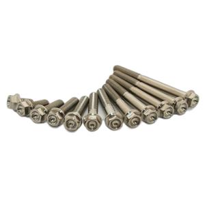 1111418-kit-di-49-viti-per-motore-scar-x49-bronzo-tu