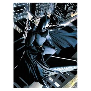 8435450223907-poster-in-vetro-sd-toys-dc-comics-batman-nero-blu-grigio-30x40-cm