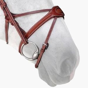 n02c-museruola-silver-crown-spider-conker-completo