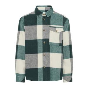 21108287-185315-camicia-solid-manheim-bacche-di-alloro