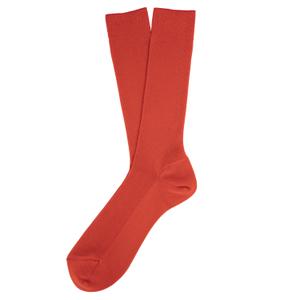 sp800-paprika-calze-eco-compatibili-spasso-paprika