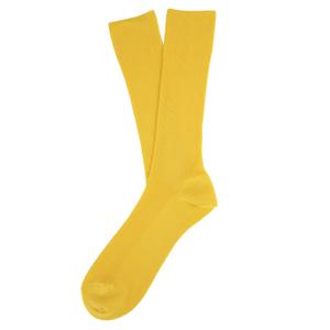 sp800-pineapple-calze-eco-compatibili-spasso-ananas