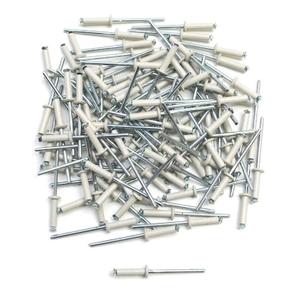 5079-confezione-da-100-rivetti-per-targa-top-plaq-bianco-argento-4x16-mm