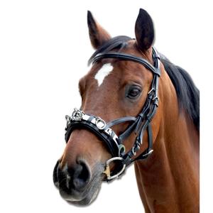 95601001-vb-stalla-per-cavalli-in-pelle-waldhausen-nero