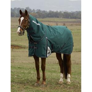 1029003001-coperta-da-esterno-per-cavallo-staccabile-al-collo-weatherbeeta-comfitec-plus-dynamic-100g-forest-green-navy